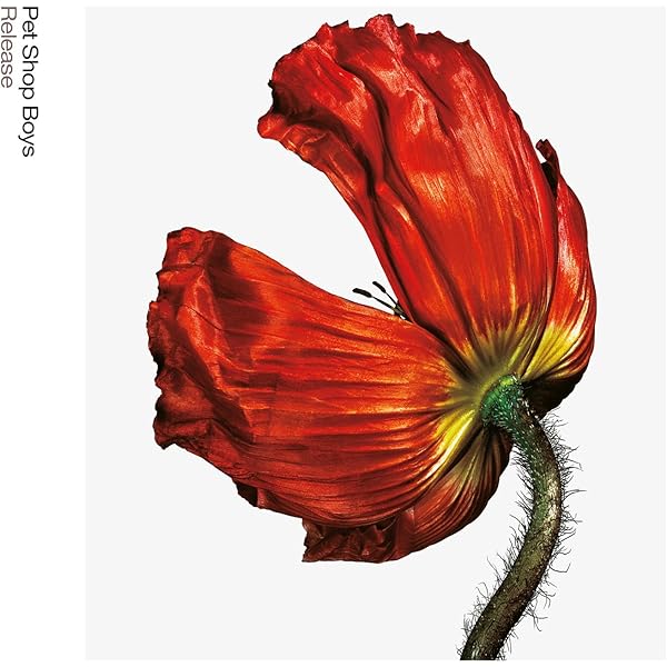 PET SHOP BOYS Electric 直筆サイン入り ブックレット Pet Shop Boys Catalogue Book Signed Autographed By Neil Tennant